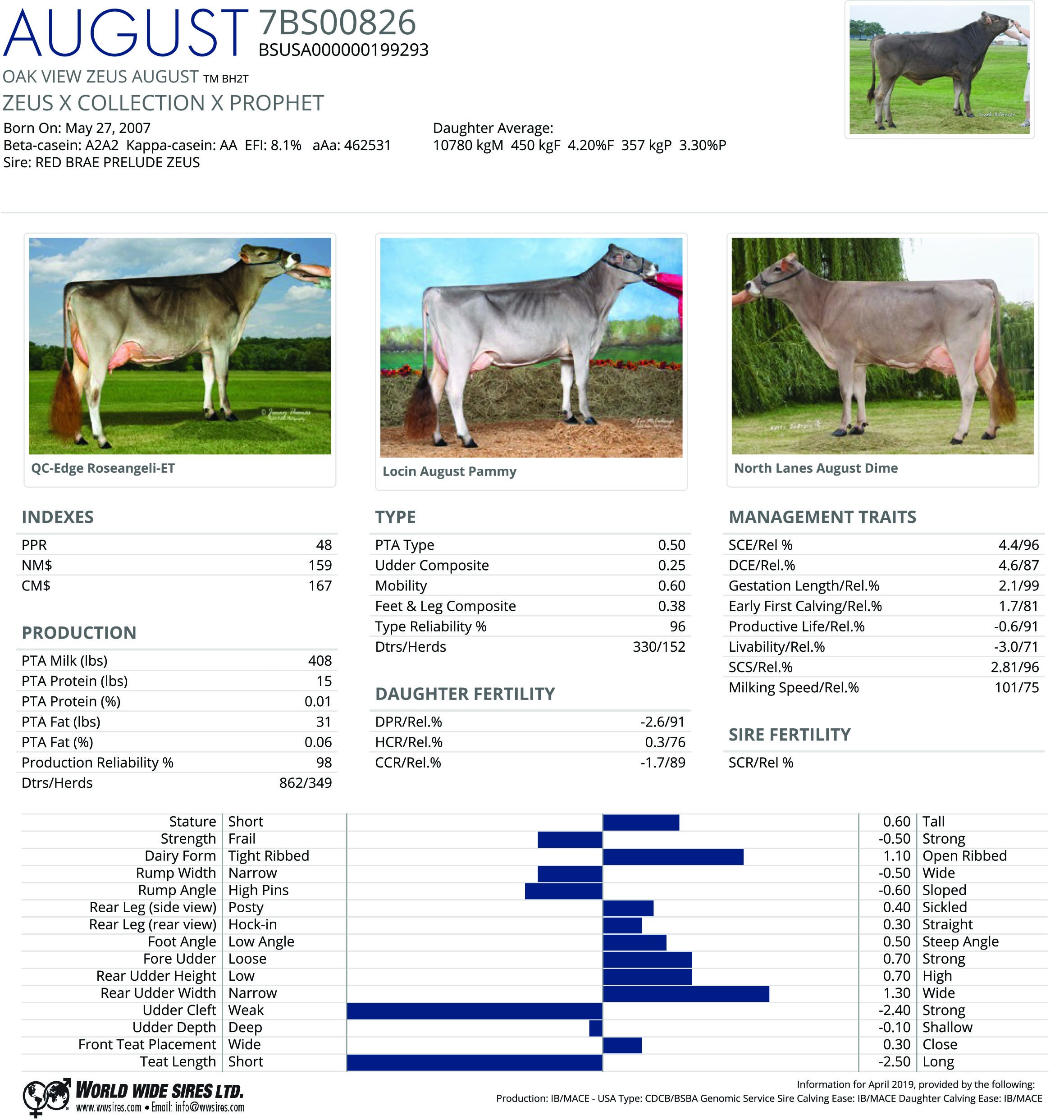 7BS00826 OAK VIEW ZEUS AUGUST TM BH2T